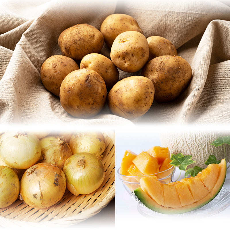 フルーツ野菜 フルーツ野菜食品乾燥機 速乾性