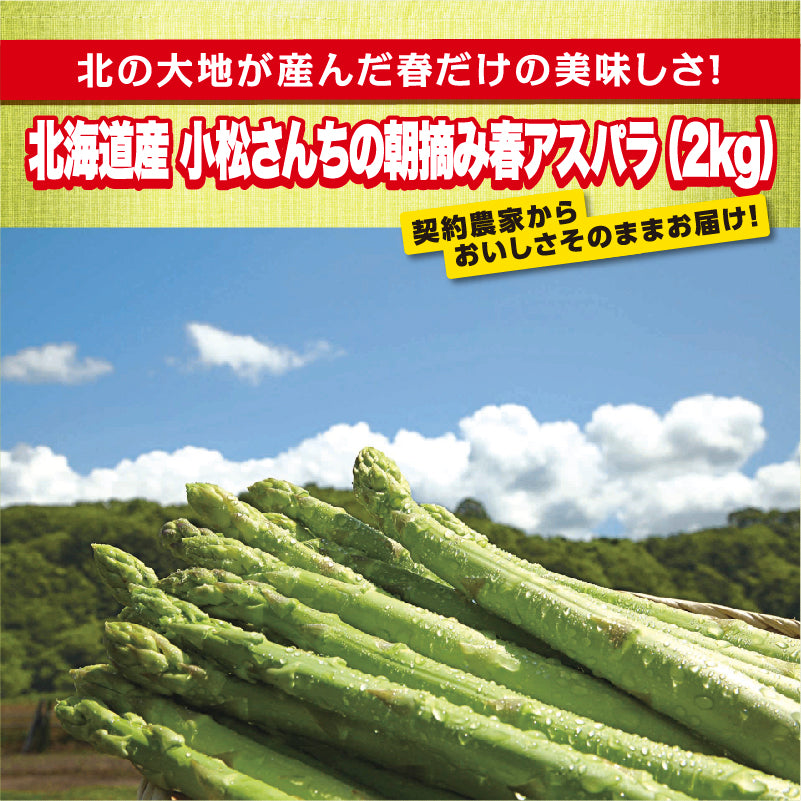 北海道産 小松さんちの朝摘み春アスパラ 2kg
