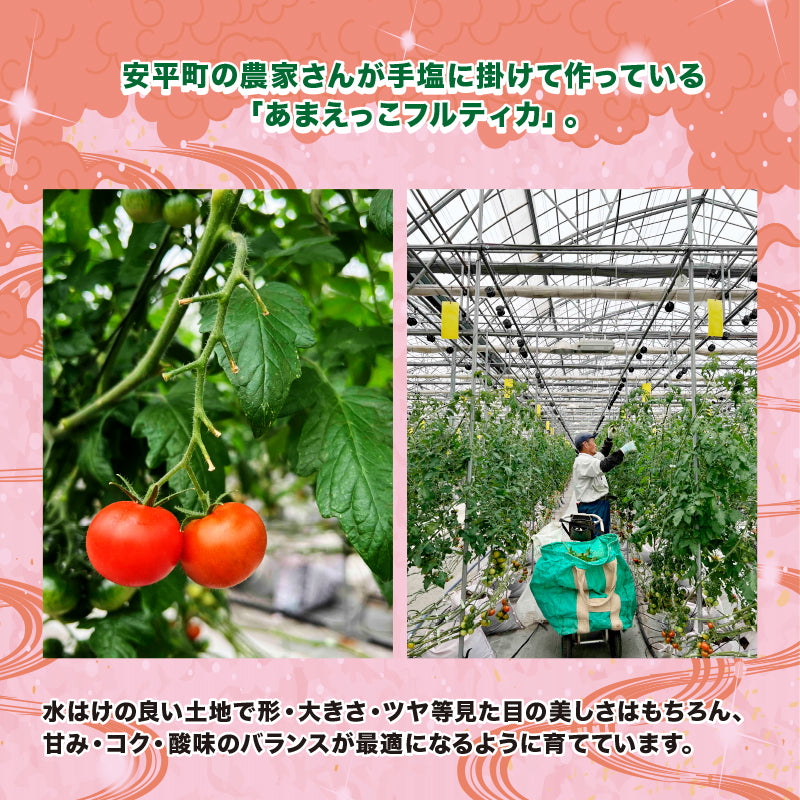 高糖度 フルティカトマト