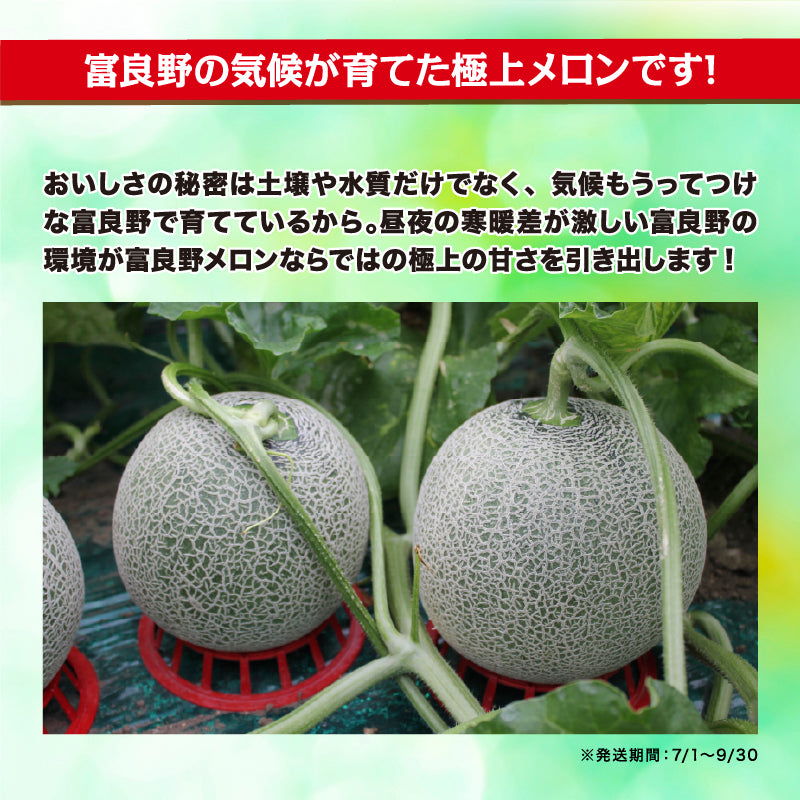 富良野メロン(2kg×2玉)