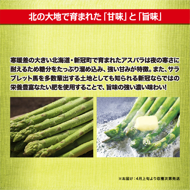北海道産 小松さんちの朝摘み春アスパラ 2kg