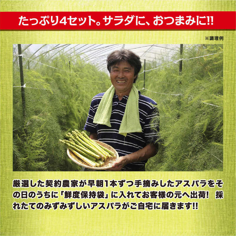 北海道産 小松さんちの朝摘み春アスパラ 1kg