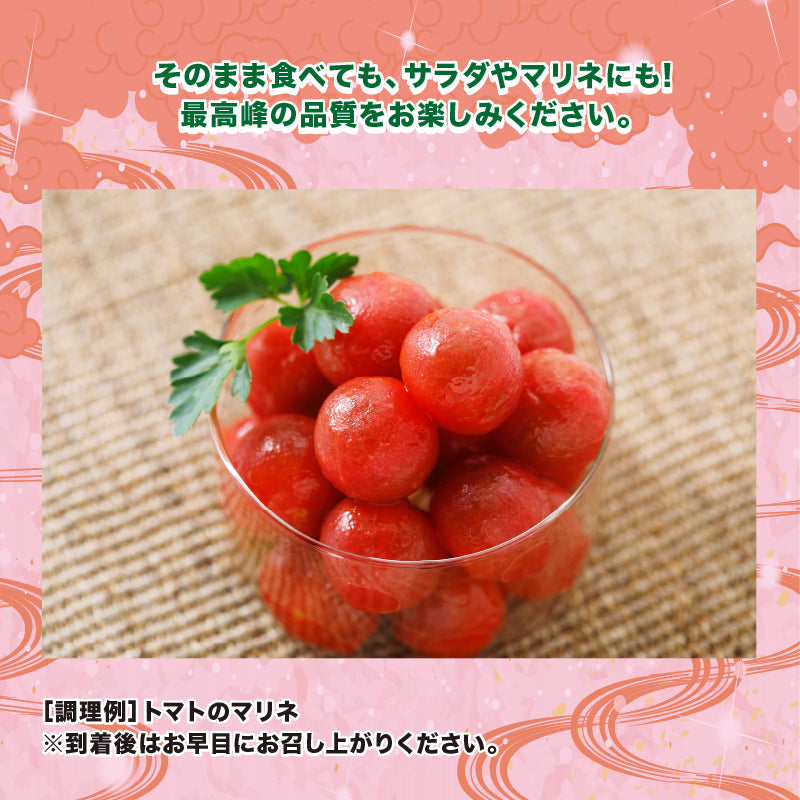 高糖度 フルティカトマト