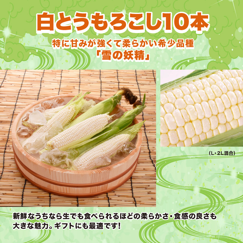 白とうもろこし(雪の妖精)10本