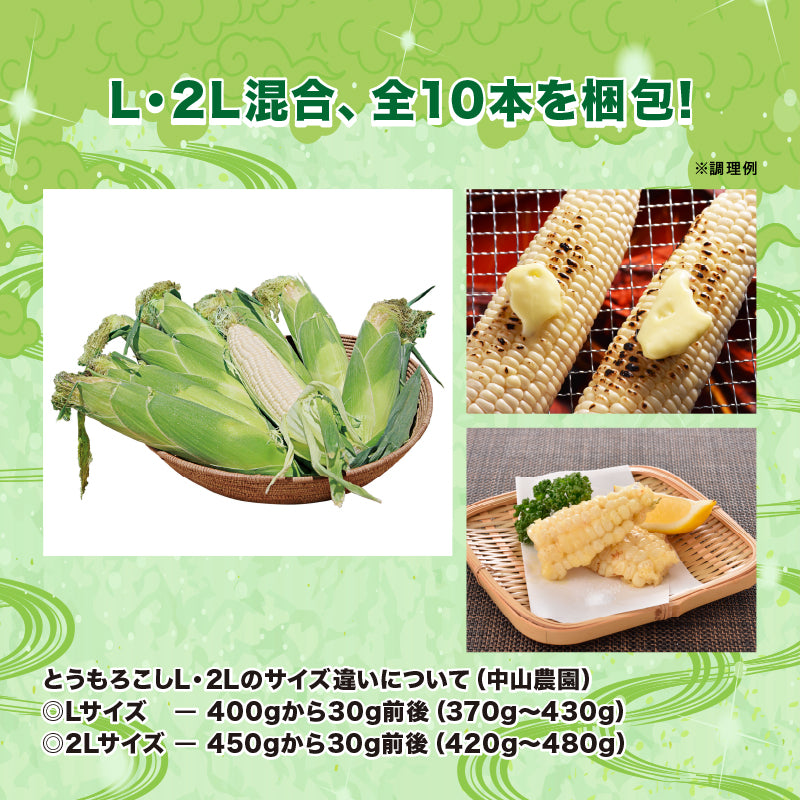 白とうもろこし(雪の妖精)10本