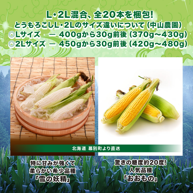 黄(おおもの)白(雪の妖精)20本セット