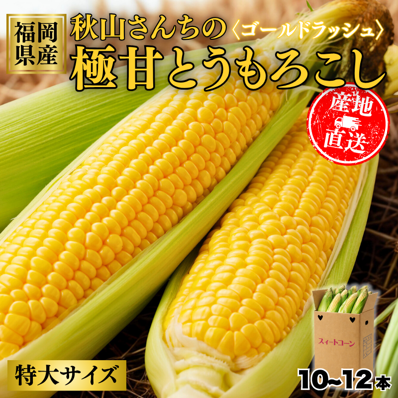 福岡産 秋山とうもろこし（ゴールドラッシュ）10〜12本セット｜朝採れ