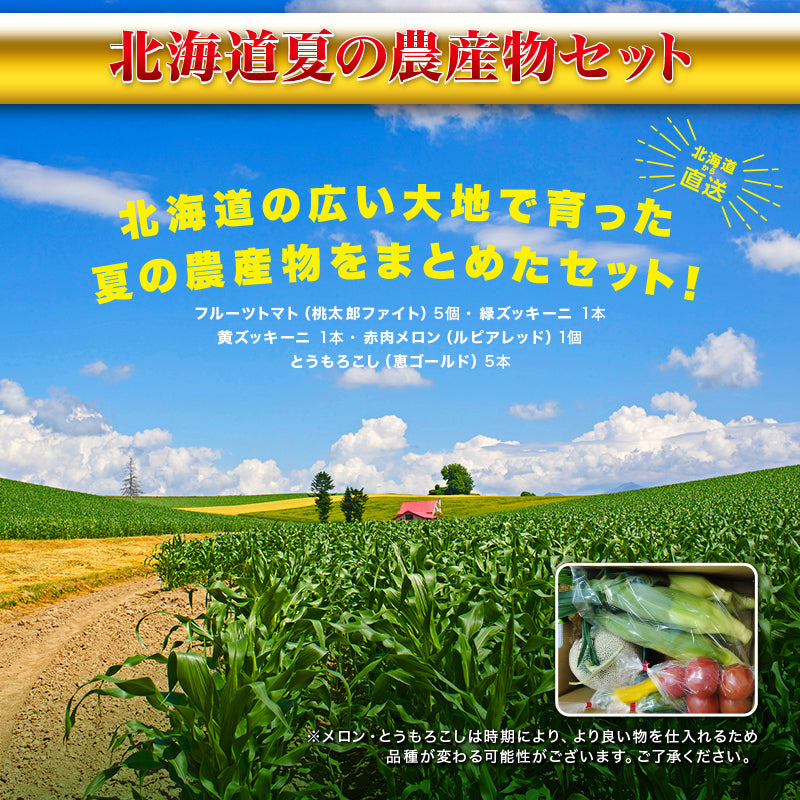 北海道夏の農産物セット