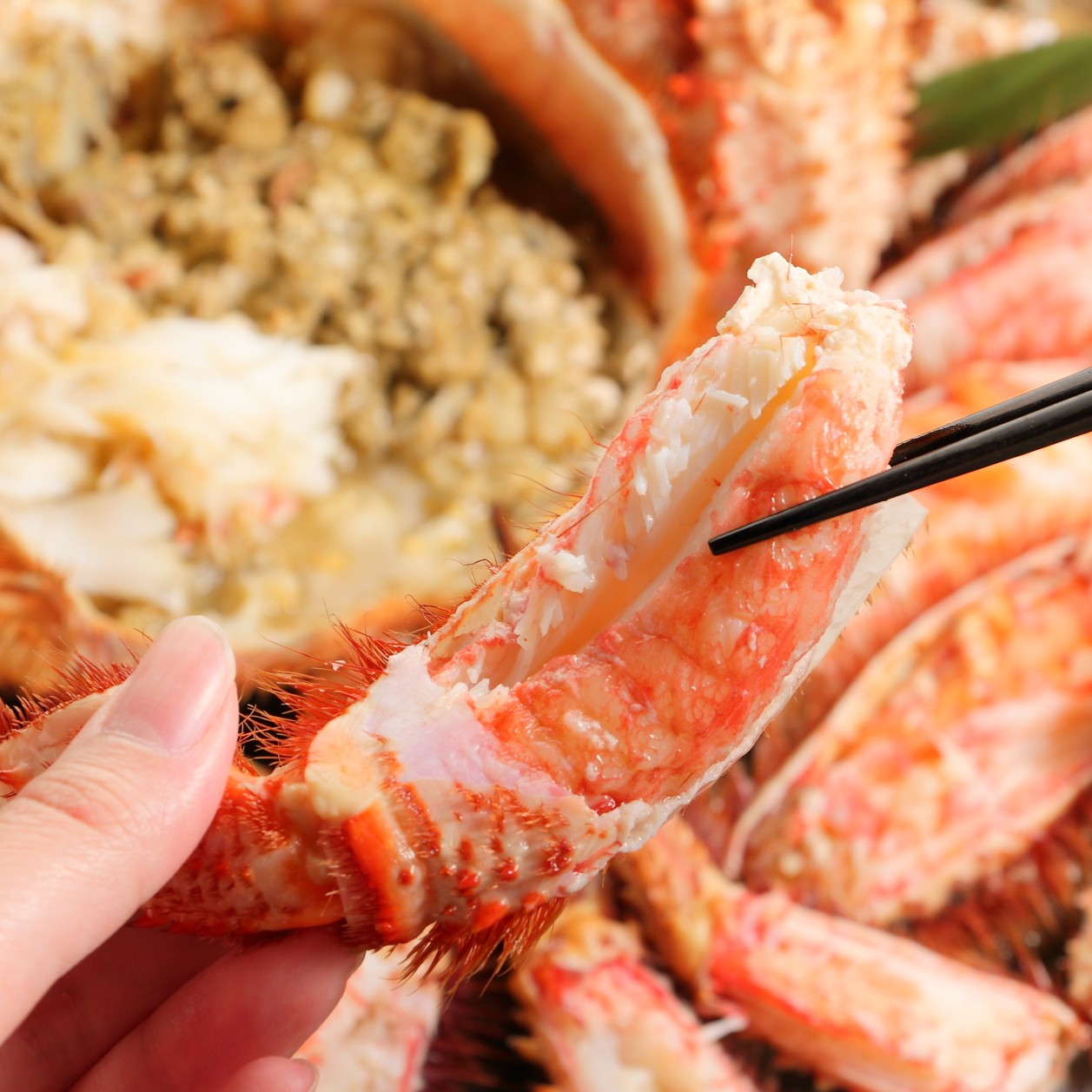 北海道産ボイル毛蟹姿 3尾