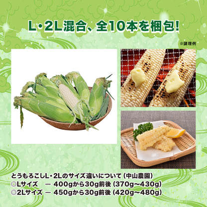白とうもろこし（雪の妖精）10本