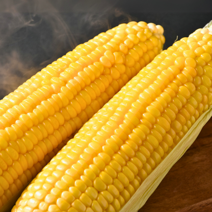 【先行予約販売】福岡産 秋山さんちのとうもろこし