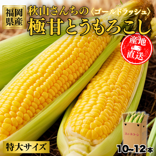 【先行予約販売】福岡産 秋山さんちのとうもろこし