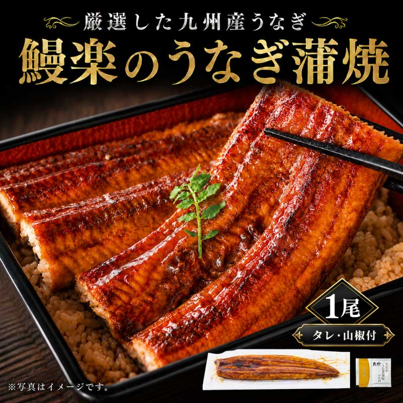 九州産「鰻楽」のうなぎ蒲焼き【長焼】1尾