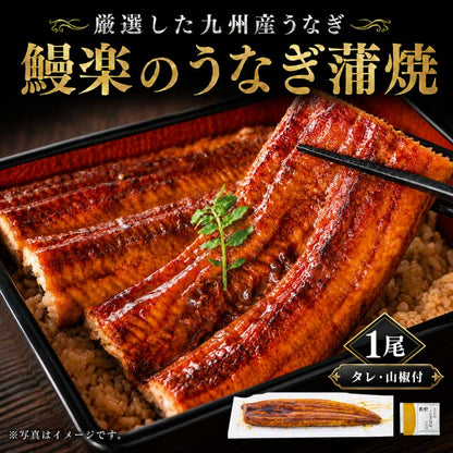 九州産「鰻楽」のうなぎ蒲焼き【長焼】1尾