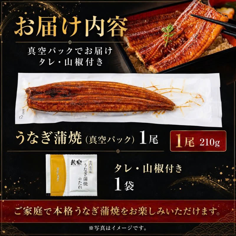九州産「鰻楽」のうなぎ蒲焼き【長焼】1尾
