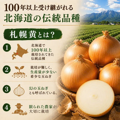 北海道産 吉田農園の札幌黄 玉ねぎ 約6kg