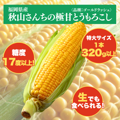 【先行予約販売】福岡産 秋山さんちのとうもろこし