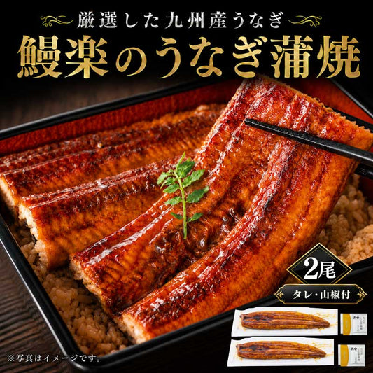 九州産「鰻楽」のうなぎ蒲焼き【長焼】2尾