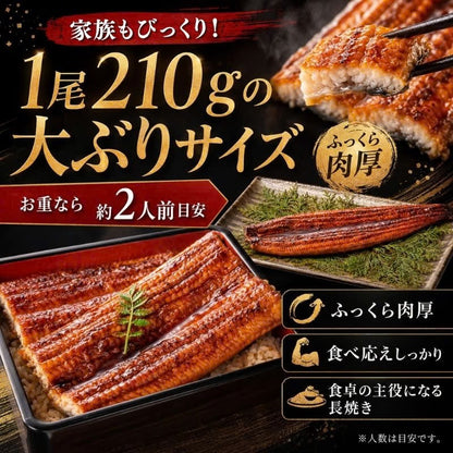 九州産「鰻楽」のうなぎ蒲焼き【長焼】2尾
