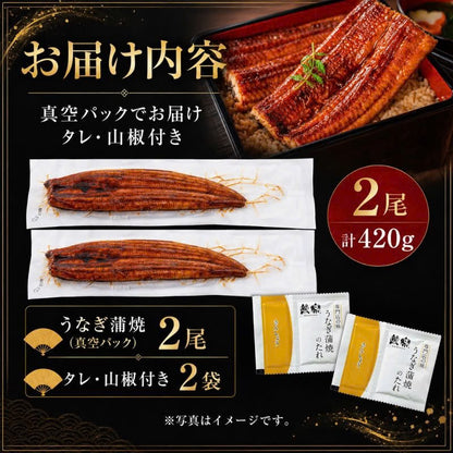 九州産「鰻楽」のうなぎ蒲焼き【長焼】2尾