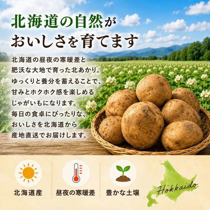 北海道産じゃがいも 北あかり 約4kg