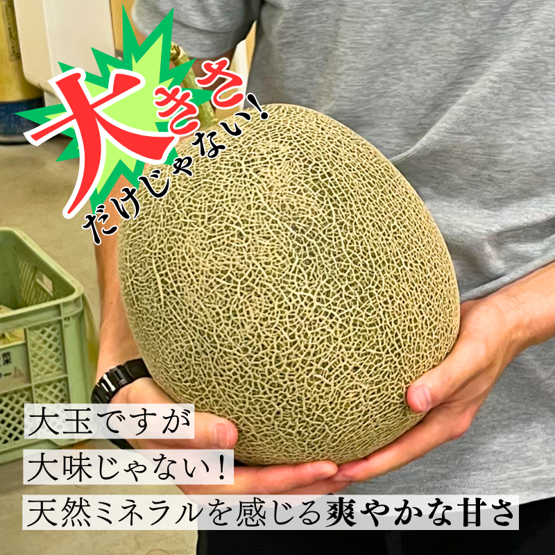 【先行予約販売】長崎産 愛菜グリーン