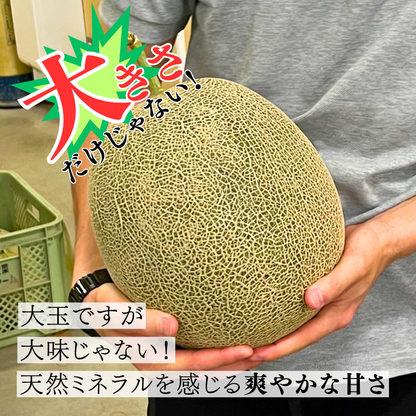 【先行予約販売】長崎産 愛菜グリーン