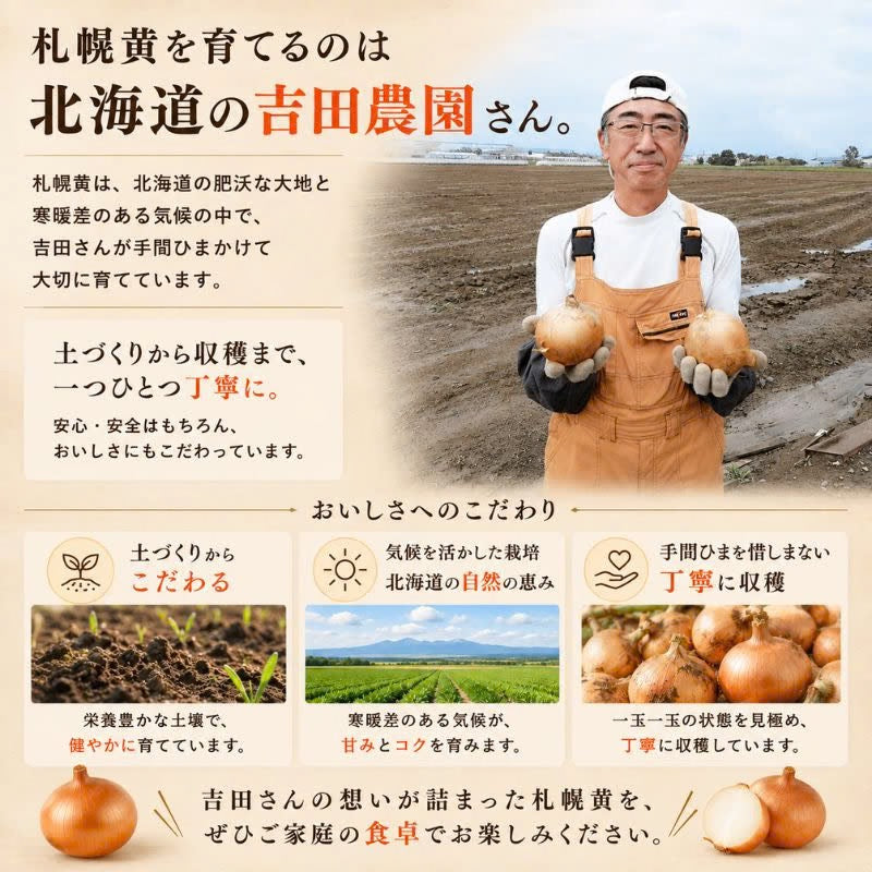 北海道産 吉田農園の札幌黄 玉ねぎ 約3kg