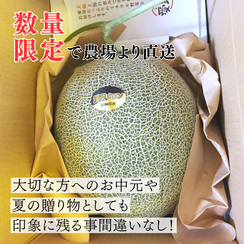 【先行予約販売】長崎産 愛菜グリーン