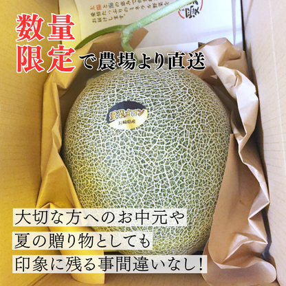 【先行予約販売】長崎産 愛菜グリーン
