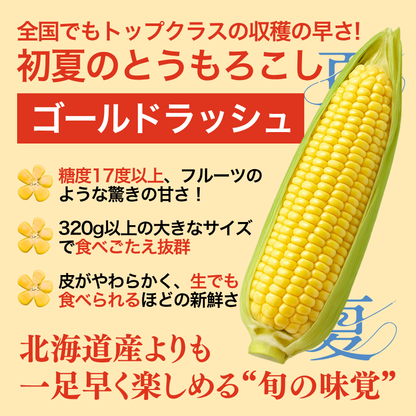 【先行予約販売】福岡産 秋山さんちのとうもろこし