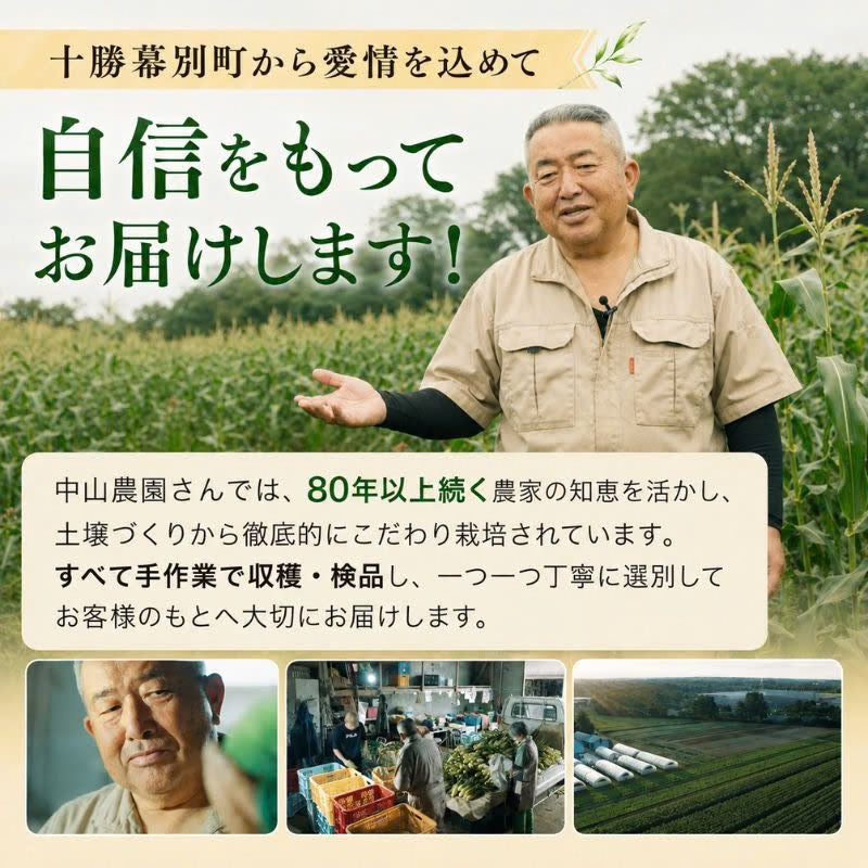 【先行予約販売】北海道幕別町 中山さんちのとうもろこし 食べ比べセット「雪の妖精」＆「おおもの」各10本