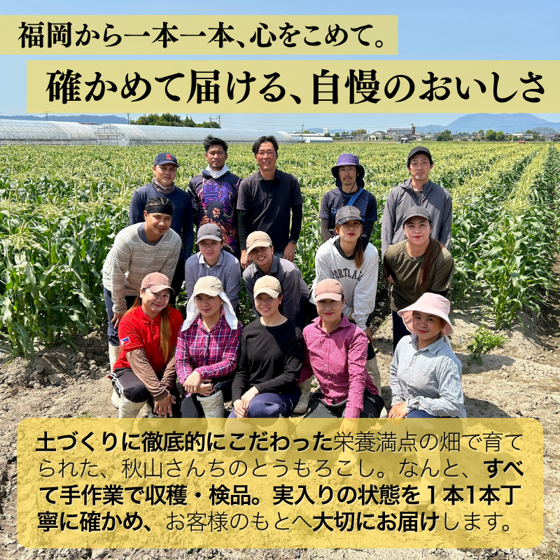 【先行予約販売】福岡産 秋山さんちのとうもろこし