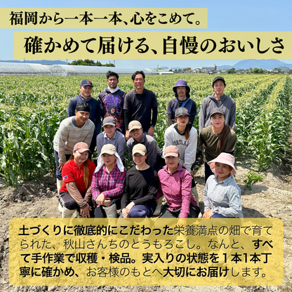 【先行予約販売】福岡産 秋山さんちのとうもろこし