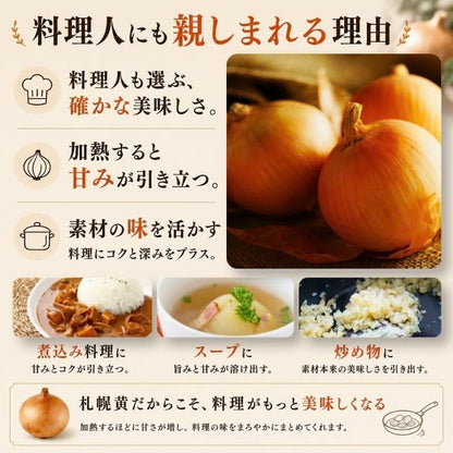 北海道産 吉田農園の札幌黄 玉ねぎ 約6kg