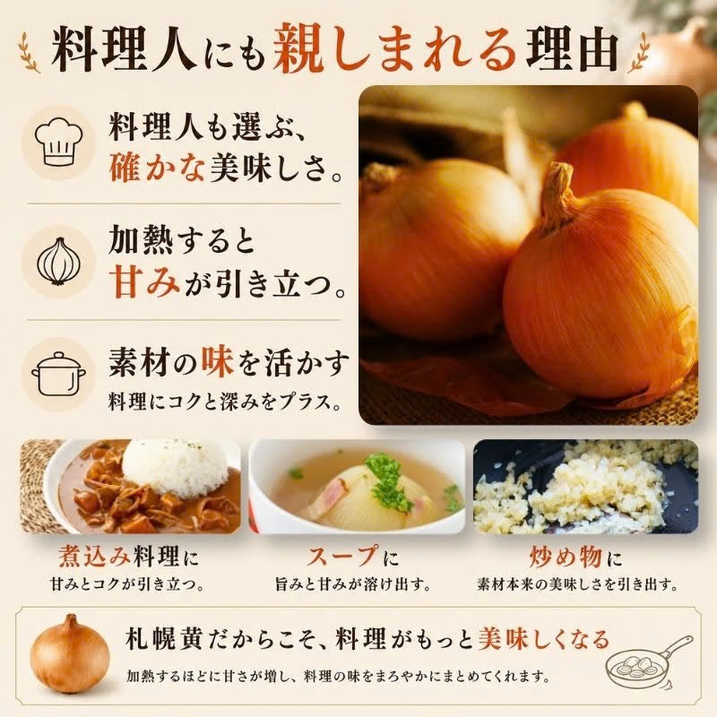 北海道産 吉田農園の札幌黄 玉ねぎ 約3kg