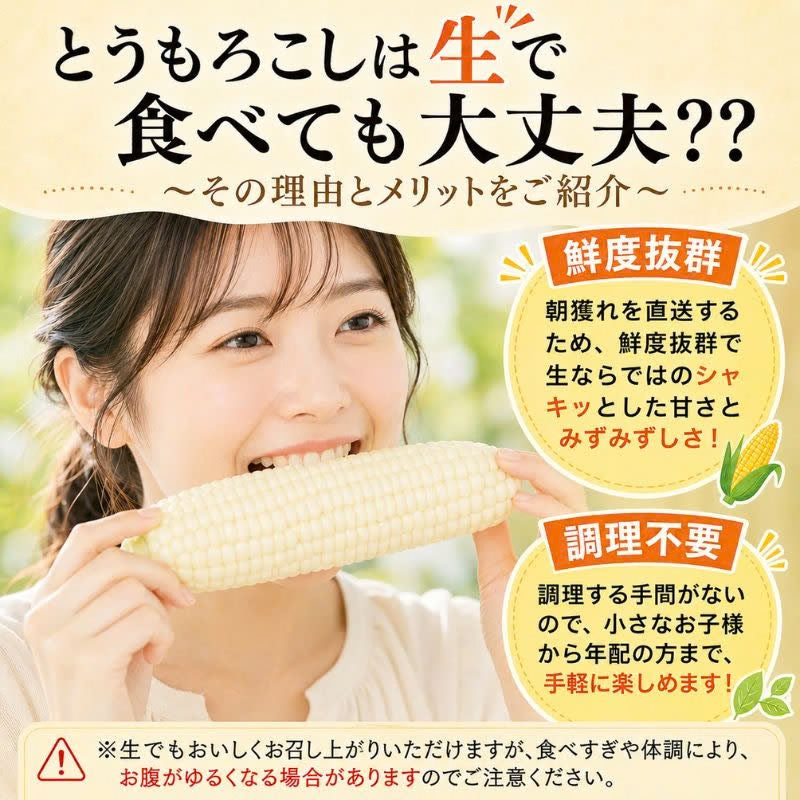 とうもろこし 食べ比べセット｜北海道幕別町 中山さんちの「雪の妖精
