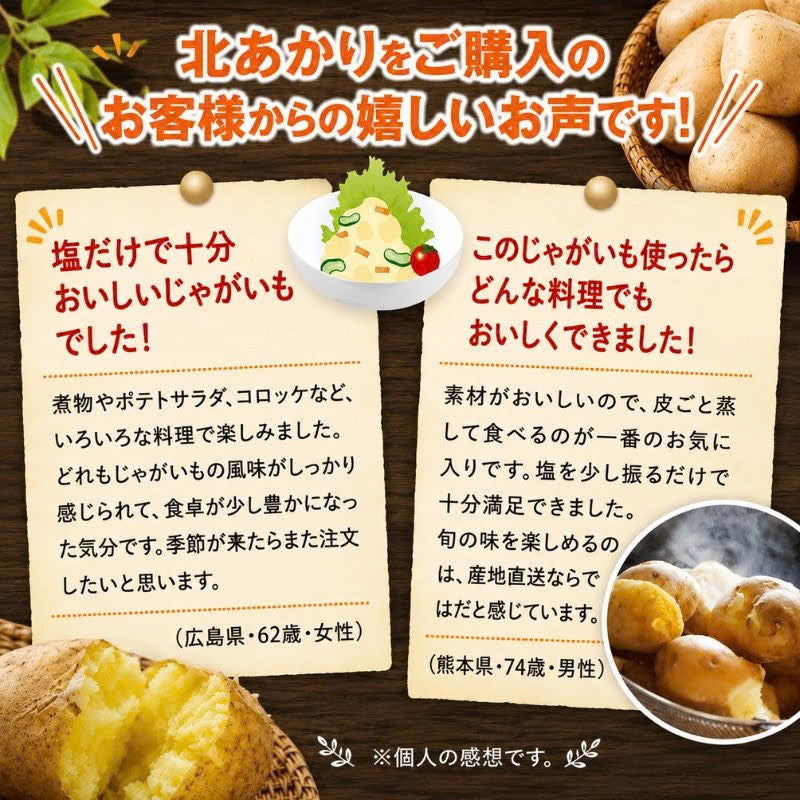 北海道産じゃがいも 北あかり 約8kg