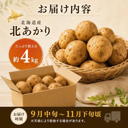 北海道産じゃがいも 北あかり 約4kg