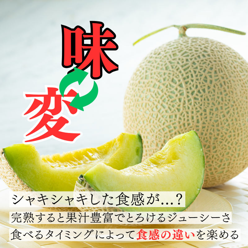 【先行予約販売】長崎産 愛菜グリーン