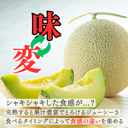 【先行予約販売】長崎産 愛菜グリーン