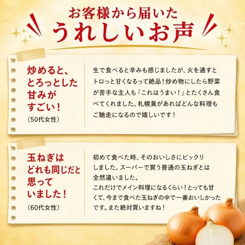 北海道産 吉田農園の札幌黄 玉ねぎ 約3kg