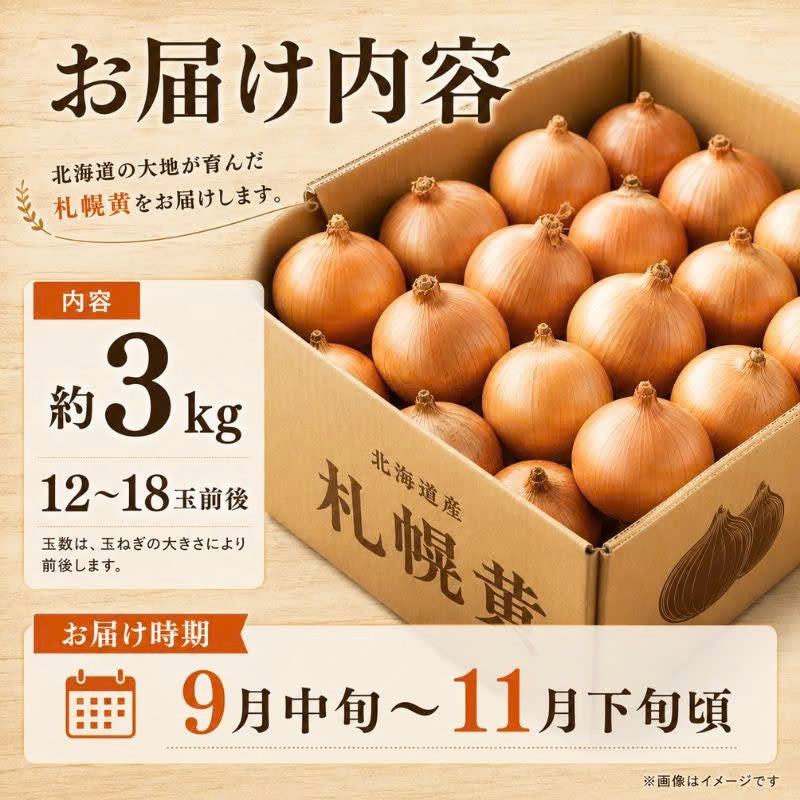 北海道産 吉田農園の札幌黄 玉ねぎ 約3kg