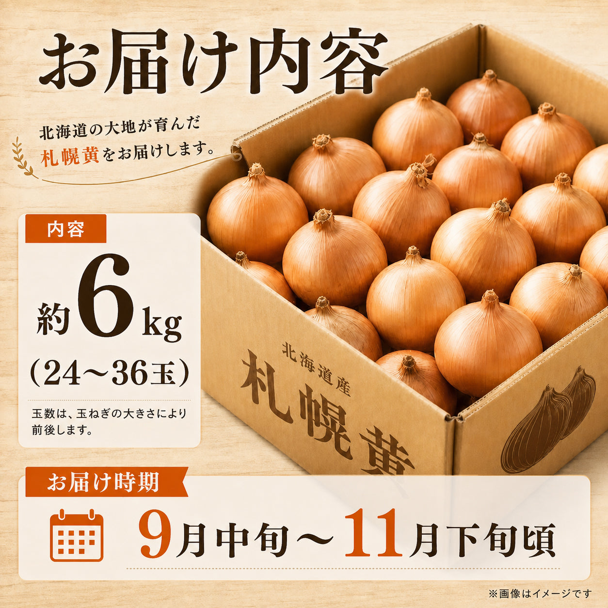 北海道産 吉田農園の札幌黄 玉ねぎ 約6kg