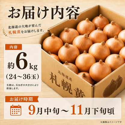 北海道産 吉田農園の札幌黄 玉ねぎ 約6kg