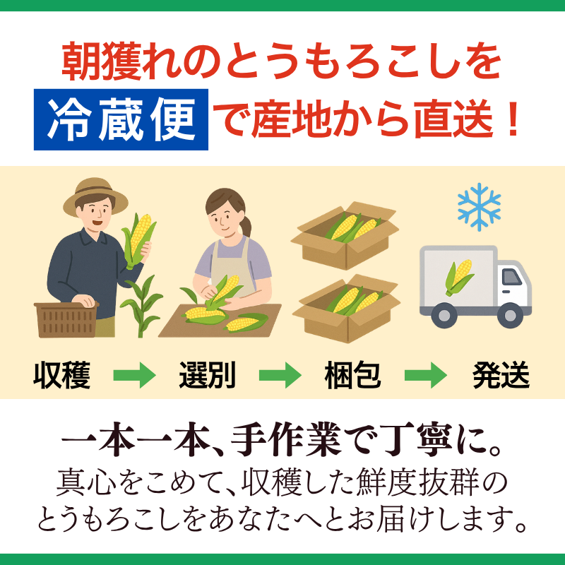 【先行予約販売】福岡産 秋山さんちのとうもろこし