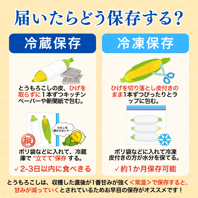 【先行予約販売】福岡産 秋山さんちのとうもろこし