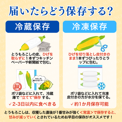 【先行予約販売】福岡産 秋山さんちのとうもろこし