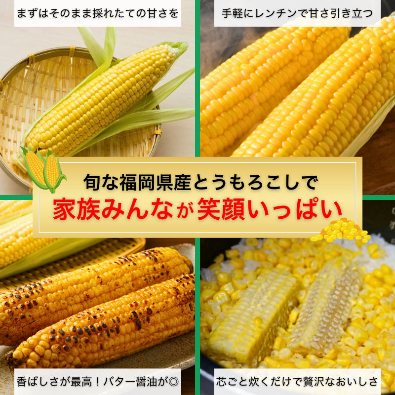 【先行予約販売】福岡産 秋山さんちのとうもろこし