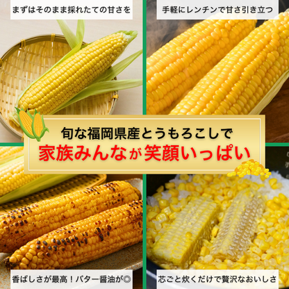 【先行予約販売】福岡産 秋山さんちのとうもろこし